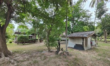 3-3-39 RAI | TWO BUNGALOWS AND FRUIT TREES! NEAR SPRINGFIELD VILLAGE GOLF AND SPA