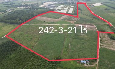 Land for sale in Chonburi, Ban Bueng, large plot of land, Nong Chak area.
