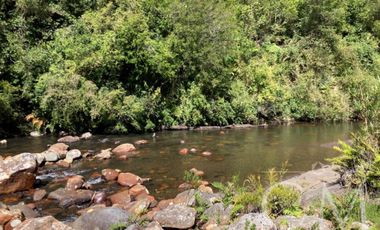 Se vende Parcela en Bosque Andino