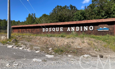 Se vende Parcela en Bosque Andino