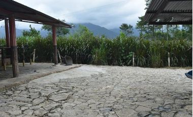 VENDO FINCA GANADERA MUNICIPIO DE CHINÁCOTA