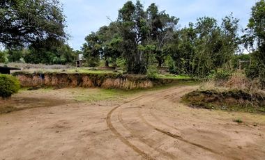 Fundo Valle Alegre, Quintero