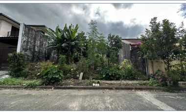 For Sale! 300 SQM Vacant Lot in Sacred Heart Village, Quezon City