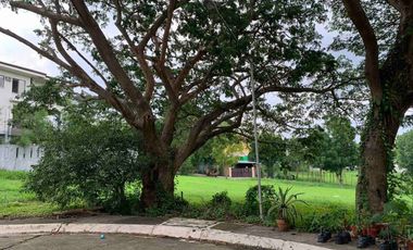 Manila Southwoods Vacant Lot for Sale
