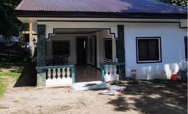 - NOT AVAILABLE -   NEWLY RENOVATED HOUSE FOR RENT IN DAUIN