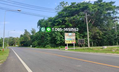 Land for sale in Mae Rim, Chiang Mai  Near Four Seasons Hotel, Gudi Boutique Resort on main road 1096 ( Mae Rim main road. ) Land size 5-0-51.5 Rai ( 2,051.5 sq.m.) For sale 30,000 baht/sq.wa.