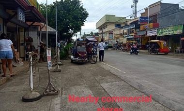 PRIME Commercial Property in Daan Bantayan, Cebu