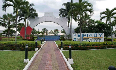 Parque Industrial Piady - Venta Terreno 5.000 m²