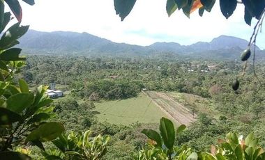 Overlooking Lot in El Nido, Palawan, 1hectare, 2500 per sqm