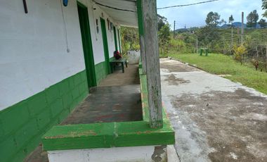 VENDO FINCA DE TRABAJO EN CONCEPCIÓN ANTIOQUIA.