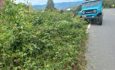 VENDO FINCA DE TRABAJO EN CONCEPCIÓN ANTIOQUIA.