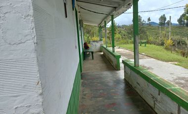 VENDO FINCA DE TRABAJO EN CONCEPCIÓN ANTIOQUIA.