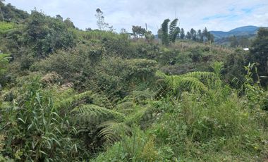 VENDO FINCA DE TRABAJO EN CONCEPCIÓN ANTIOQUIA.