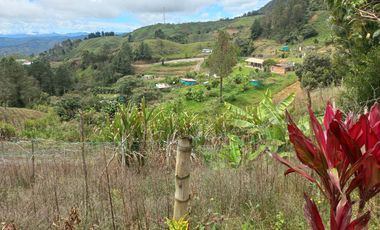 VENDO FINCA DE TRABAJO EN CONCEPCIÓN ANTIOQUIA.