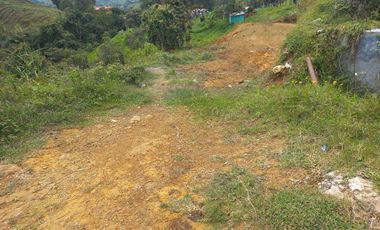 VENDO FINCA DE TRABAJO EN CONCEPCIÓN ANTIOQUIA.