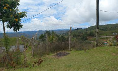 VENDO FINCA DE TRABAJO EN CONCEPCIÓN ANTIOQUIA.