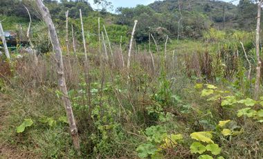 VENDO FINCA DE TRABAJO EN CONCEPCIÓN ANTIOQUIA.