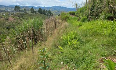 VENDO FINCA DE TRABAJO EN CONCEPCIÓN ANTIOQUIA.