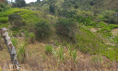 VENDO FINCA DE TRABAJO EN CONCEPCIÓN ANTIOQUIA.