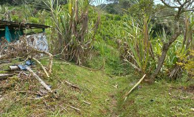 VENDO FINCA DE TRABAJO EN CONCEPCIÓN ANTIOQUIA.
