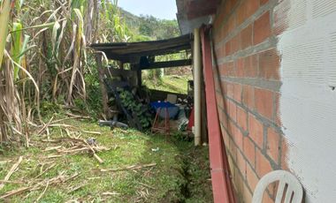 VENDO FINCA DE TRABAJO EN CONCEPCIÓN ANTIOQUIA.