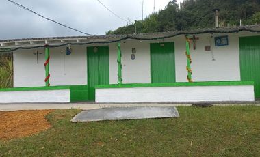 VENDO FINCA DE TRABAJO EN CONCEPCIÓN ANTIOQUIA.