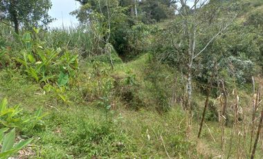 VENDO FINCA DE TRABAJO EN CONCEPCIÓN ANTIOQUIA.
