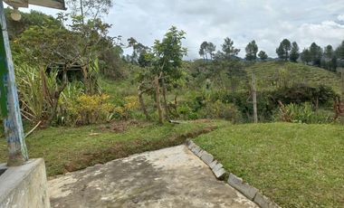 VENDO FINCA DE TRABAJO EN CONCEPCIÓN ANTIOQUIA.