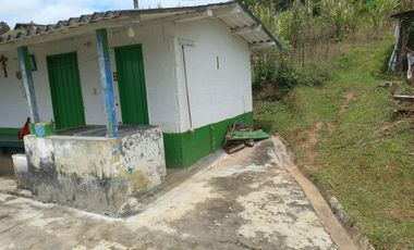 VENDO FINCA DE TRABAJO EN CONCEPCIÓN ANTIOQUIA.