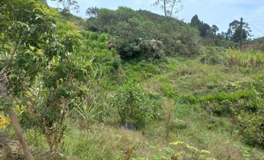 VENDO FINCA DE TRABAJO EN CONCEPCIÓN ANTIOQUIA.