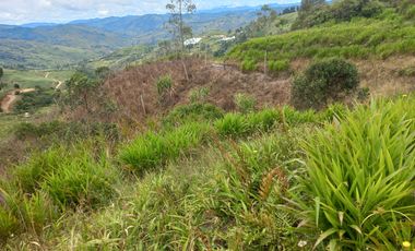 VENDO FINCA DE TRABAJO EN CONCEPCIÓN ANTIOQUIA.