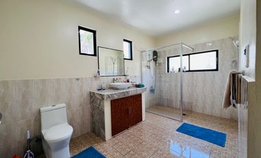 HOUSE AND LOT FOR SALE 7.8 M (negotiable)