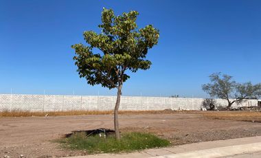 SE VENDE TERRENO EN FRACCIONAMIENTO BUENAVENTURA ZONA NORTE