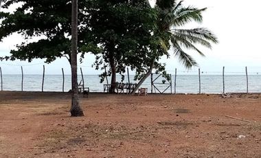 Amlan Beach Lot for Sale, Negros Oriental