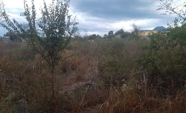 TERRENO EN RENTA EN ALLENDE, NL, ZONA LOS ALAMOS / 10,000 M2 / GIRO COMERCIAL /