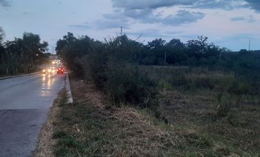 TERRENO EN RENTA EN ALLENDE, NL, ZONA LOS ALAMOS / 10,000 M2 / GIRO COMERCIAL /