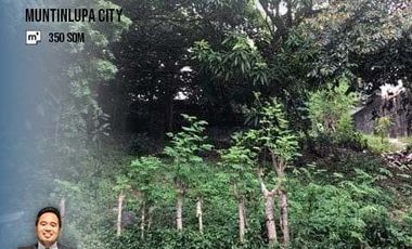 Residential Lot for Sale in Alabang Hills at Muntinlupa City