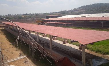 VENTA DE RANCHO A 10 MINUTOS DE ACULCO