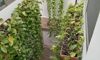 Jiutepec Morelos Casa En Venta En Condominio Fraccionamiento Brisas Del Mar