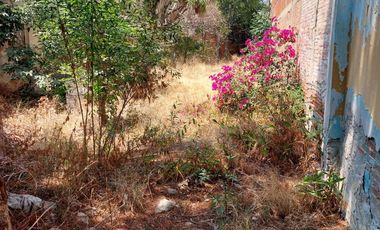 TERRENO EN COLONIA EL ÁNGEL, CERCA DE PARQUE ECOLÓGICO