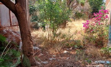 TERRENO EN COLONIA EL ÁNGEL, CERCA DE PARQUE ECOLÓGICO