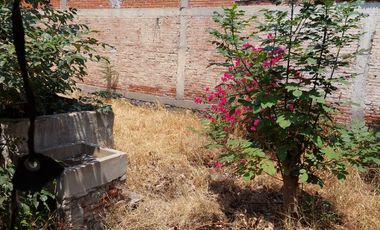TERRENO EN COLONIA EL ÁNGEL, CERCA DE PARQUE ECOLÓGICO