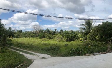 Competitively Priced Lot For Sale, P2.5k/sqm! in the Popular Amadeo, Nr Tagaytay