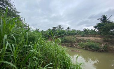 Finca de venta en Portoviejo sitio Sosote manabi