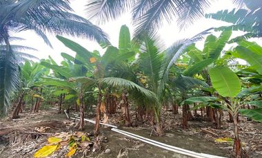 Finca de venta en Portoviejo sitio Sosote manabi