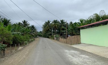 Finca de venta en Portoviejo sitio Sosote manabi