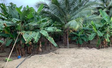 Finca de venta en Portoviejo sitio Sosote manabi