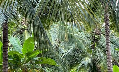 Finca de venta en Portoviejo sitio Sosote manabi