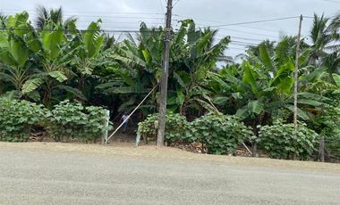 Finca de venta en Portoviejo sitio Sosote manabi
