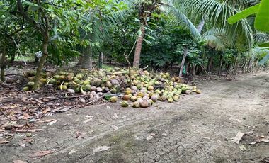 Finca de venta en Portoviejo sitio Sosote manabi